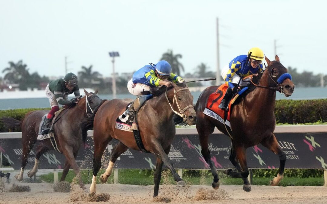 How to Book Private Jet Travel to the 2025 Pegasus World Cup in Hallandale Beach